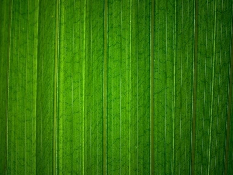 東京・目黒駅前〔新感覚理容室〕LINK-高級理容室へようこそ