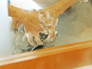 新感覚理容室LINK