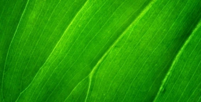 感覚理容室LINK(リンク)個室でくつろぐシンプルラグジュアリーサロン