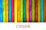 カラーのご案内