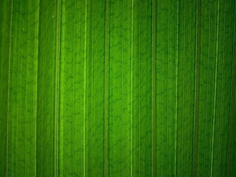 個室理容室の特許増毛法「ヘアプラス」新感覚理容室LINK(リンク)目黒駅前徒歩1分