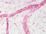 #ヘッドスパ#メンズヘッドスパ#高級理容室#メンズ理容室#メンズ美容室