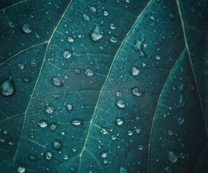 女性のお顔そりシェービングなら目黒駅徒歩1分個室くつろぐ理容室LINK(リンク)