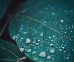 女性のお顔そりシェービングなら目黒駅徒歩1分個室くつろぐ理容室LINK(リンク)