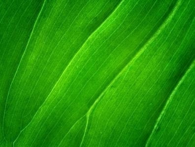 個室理容室の特許増毛法「ヘアプラス」新感覚理容室LINK（リンク）目黒駅前徒歩１分