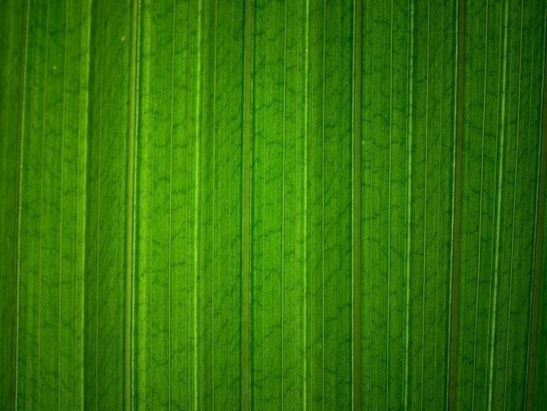 東京・目黒駅前〔新感覚理容室〕LINK-高級理容室へようこそ